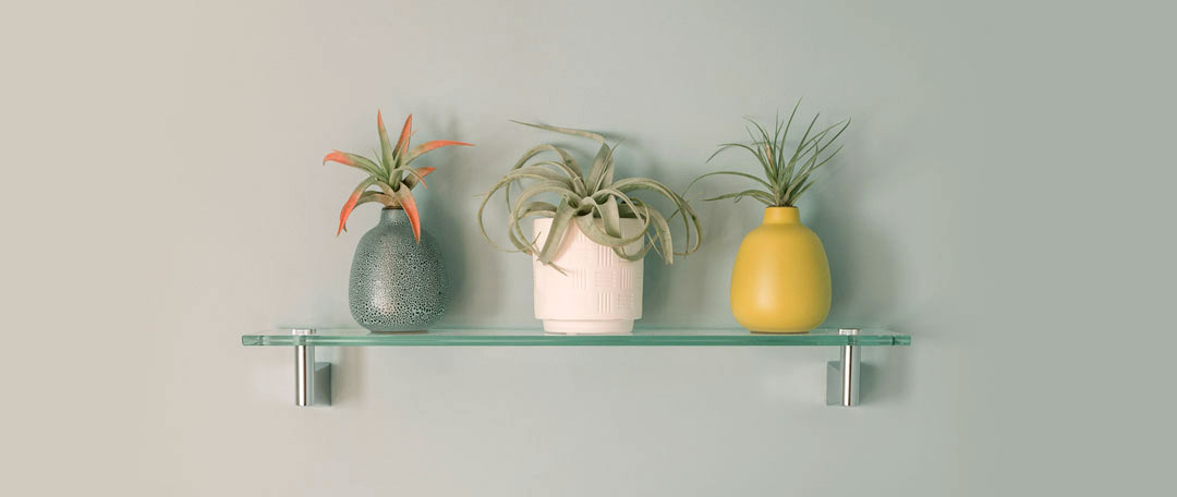 Güntert dekorative Wohnelemente